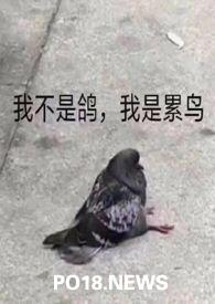 (人外)论活化石的新生活 (人外)论活化石的新生活