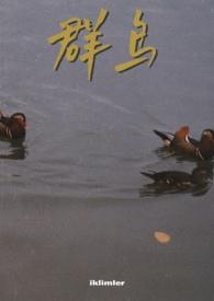 群鸟(1v2) 群鸟(1v2)